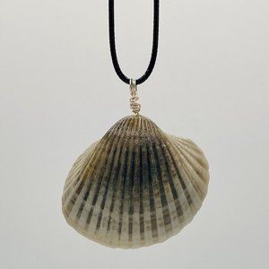 Shell Pendant on 24" Black Cord Necklace; B24-17